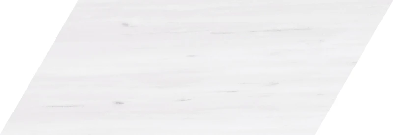 Sky White Swan3.webp